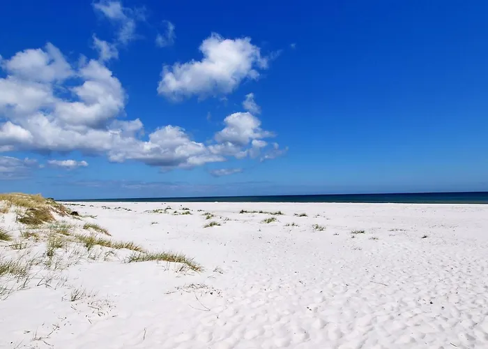 Bengta - 250m From The Sea By Interhome Apartment *